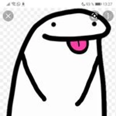 bomdia #flork #foryou #florkofcows #fyp #memestiktok #foryoupage #fl