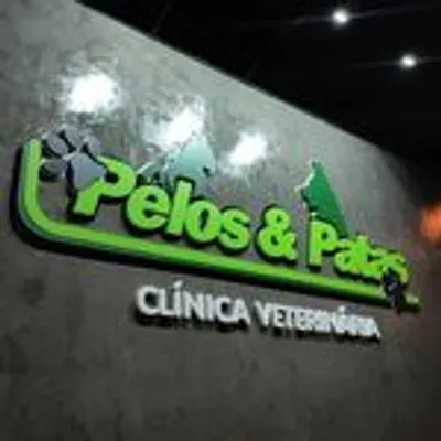 Pelos e Patas 🐾 (@pelosepatas) Instagram profile with posts and videos